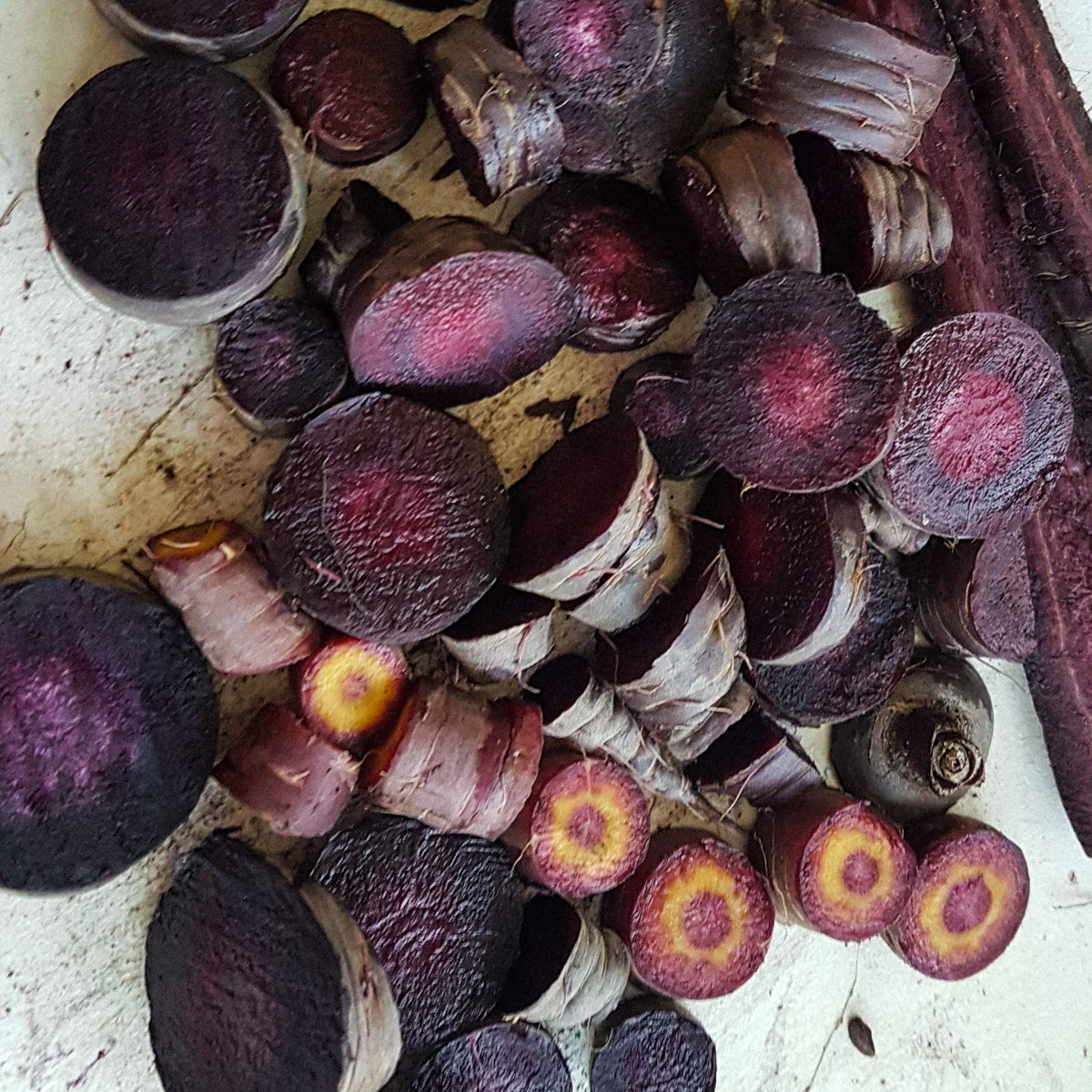 Nice purple carrot harvest from the Planty Garden