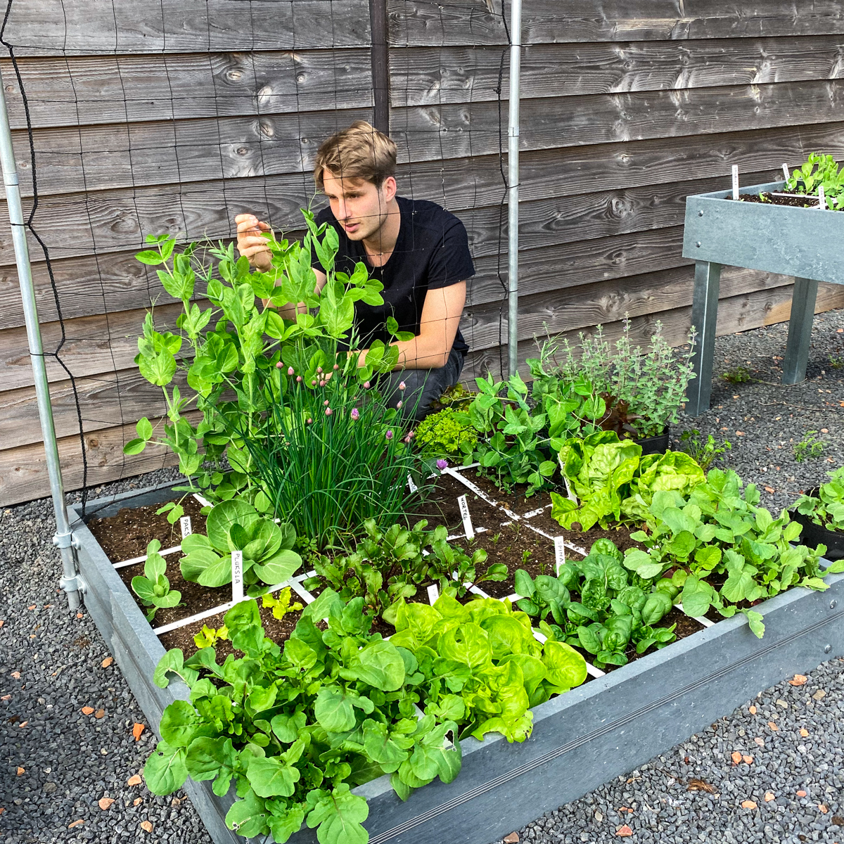 Makkelijke Moestuin Hero-bakken van gerecycled plastic