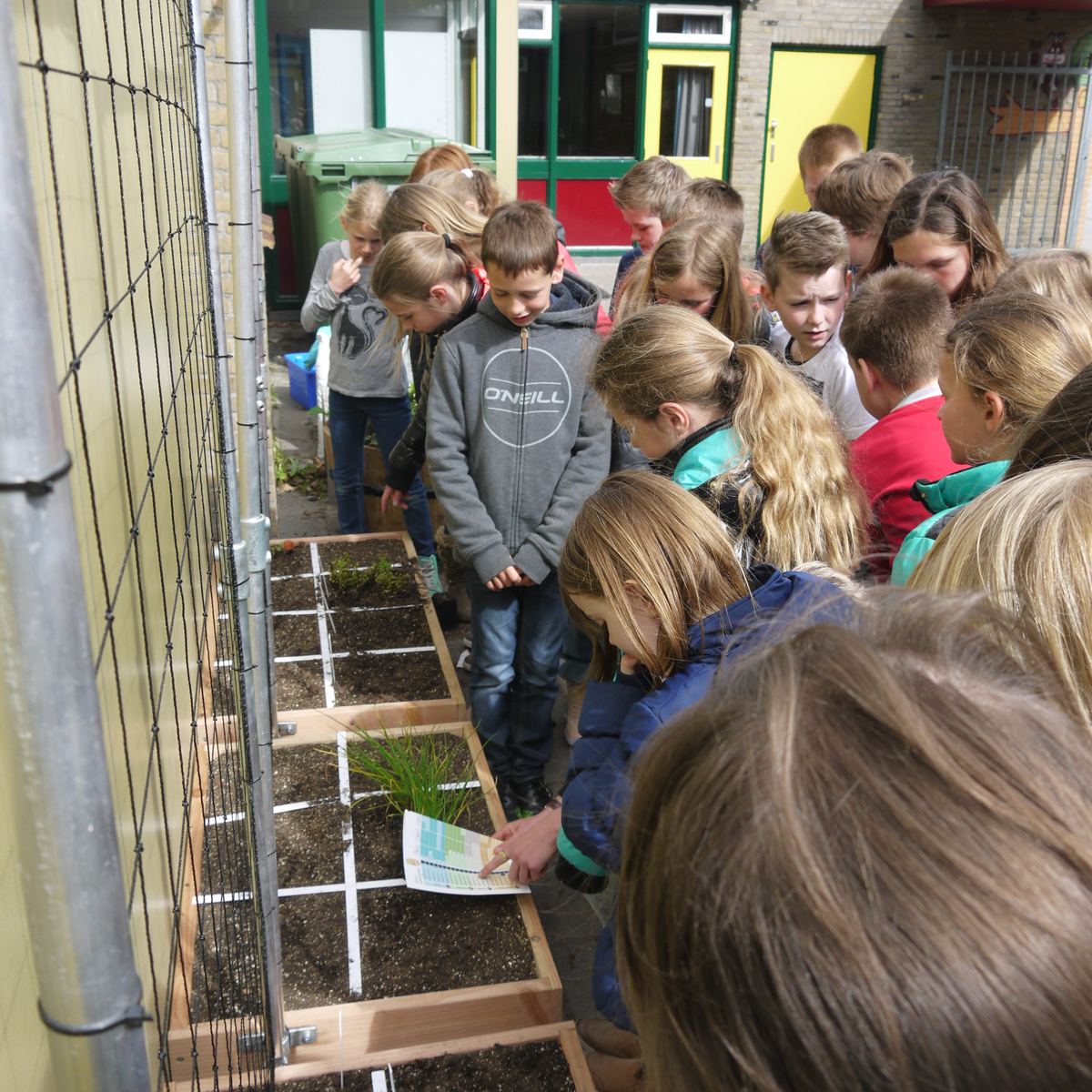 De Makkelijke Moestuin op school