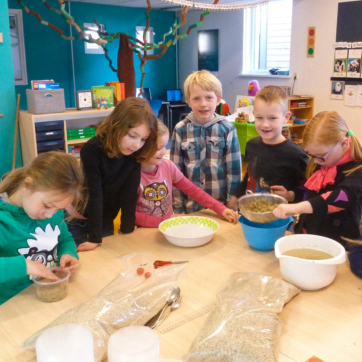 Zaaien en voorzaaien in de klas