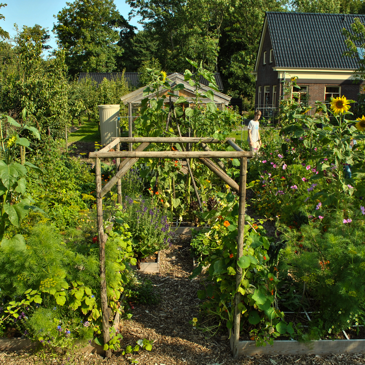 Jelles Makkelijke Moestuin in 2014