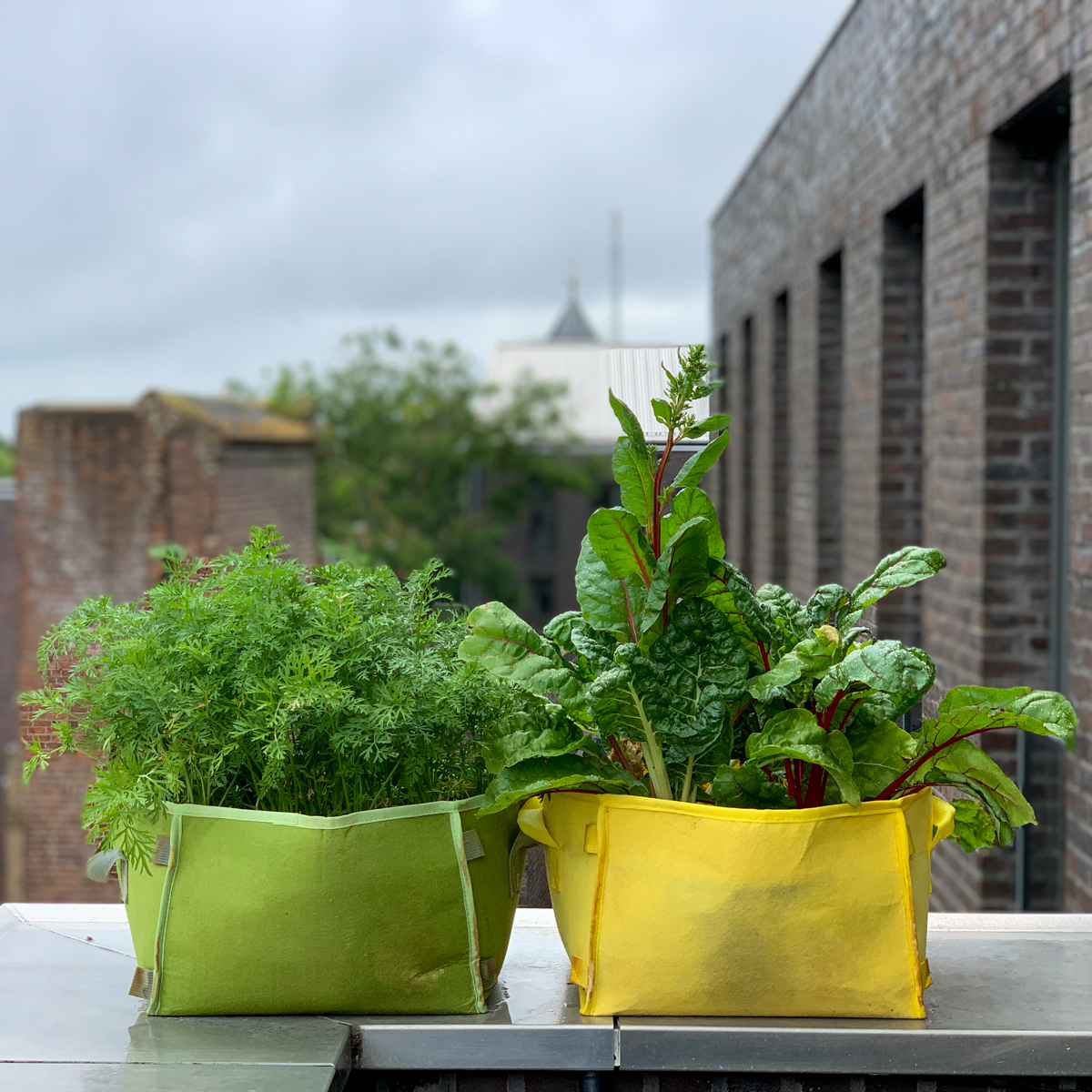 2 simpele Makkelijke Moestuin mini's op de rand van een balkon