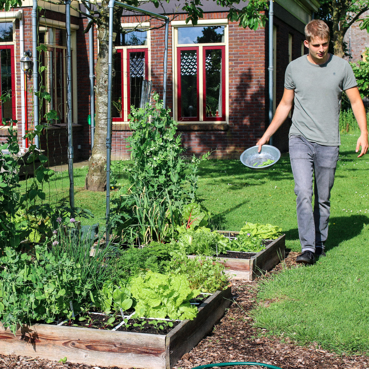 De beste plek voor je moestuin? Zo dicht mogelijk bij de keukendeur. 