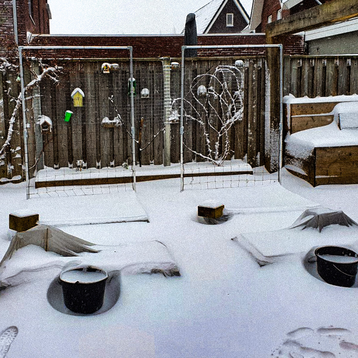 De Makkelijke Moestuin van GreenLizz is onder sneeuw bedolven.