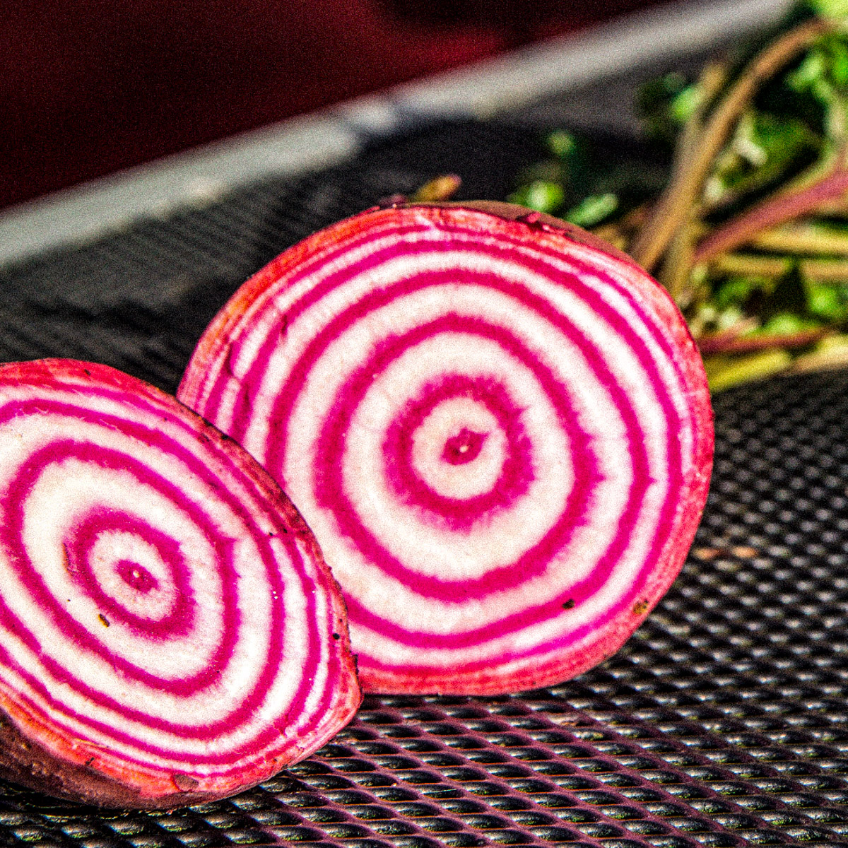 Sliced Chioggia beet