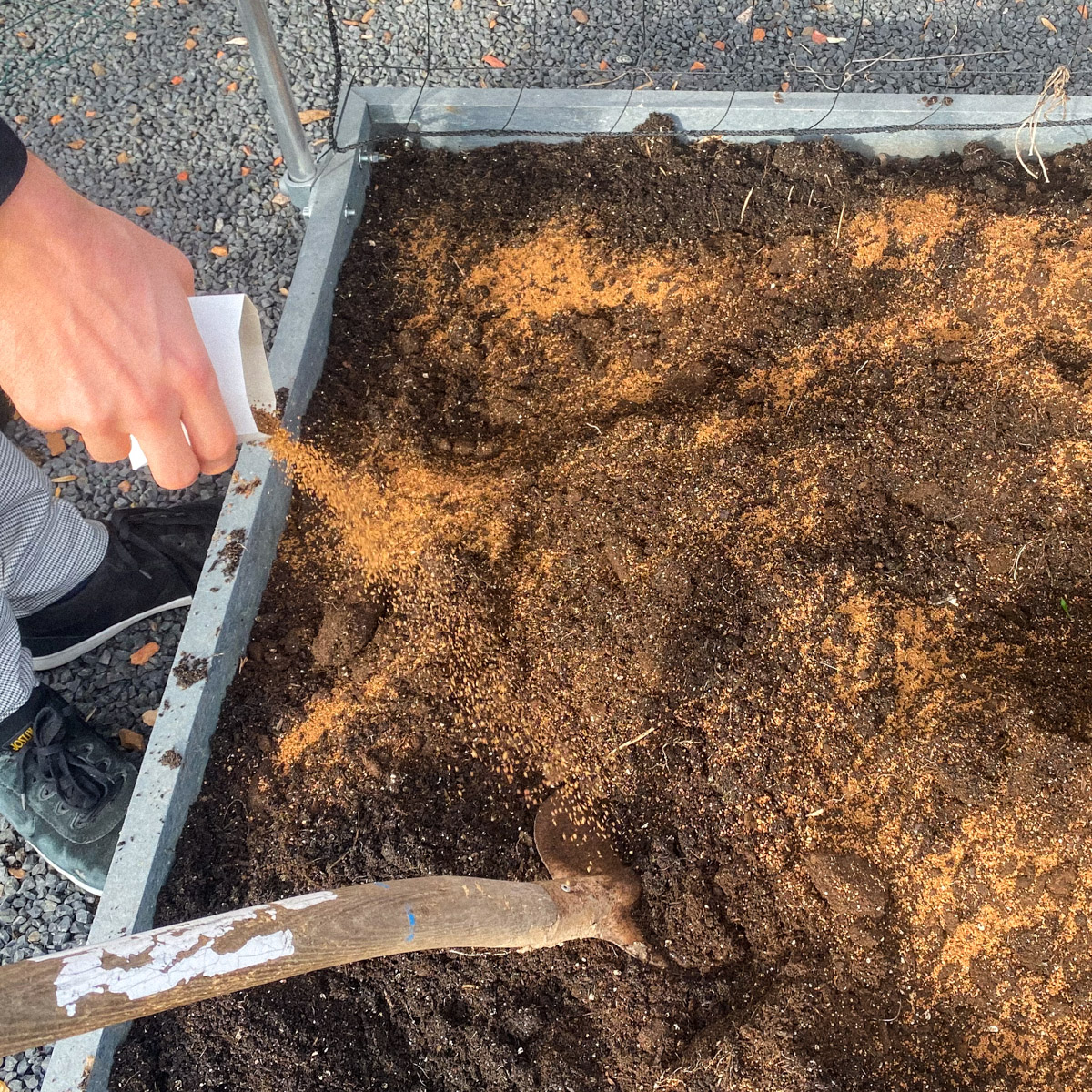 Voeg aan het begin van het seizoen weer voeding toe aan de Makkelijke Moestuin mix