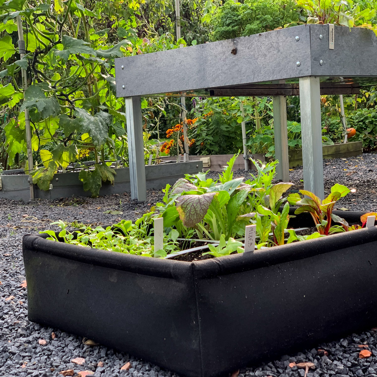 De 4-vaks Airbak van de Makkelijke Moestuin