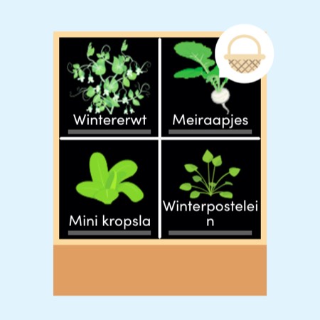 60x60 bak in Makkelijke Moestuin app
