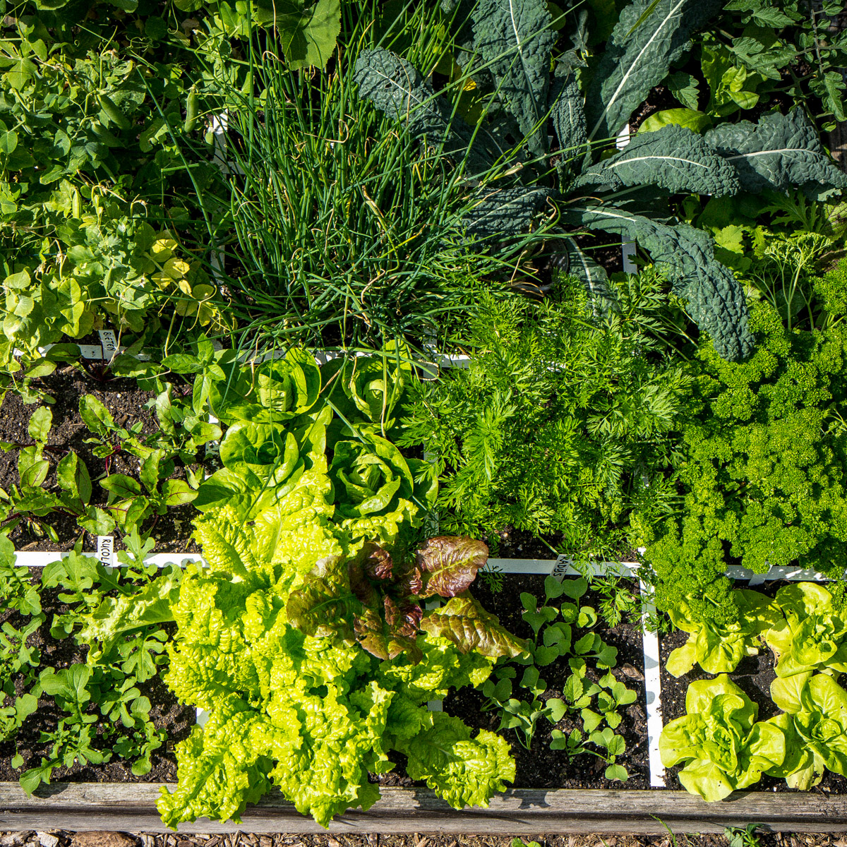 Vakken systeem voor de Makkelijke Moestuin