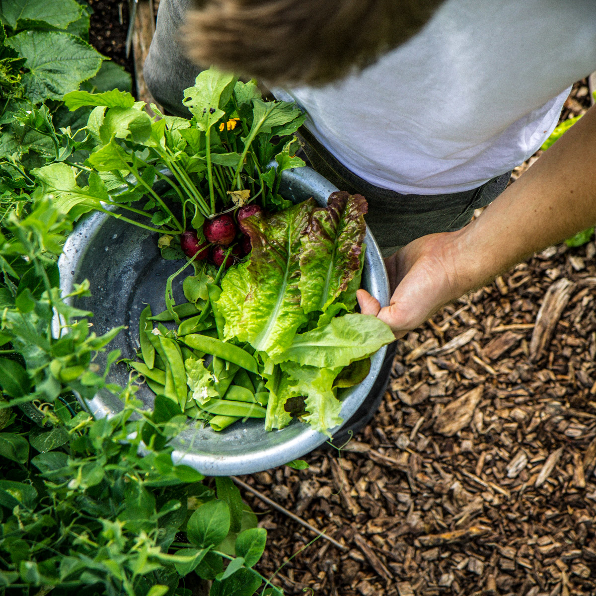 Hoe je werkt met een Makkelijke Moestuin