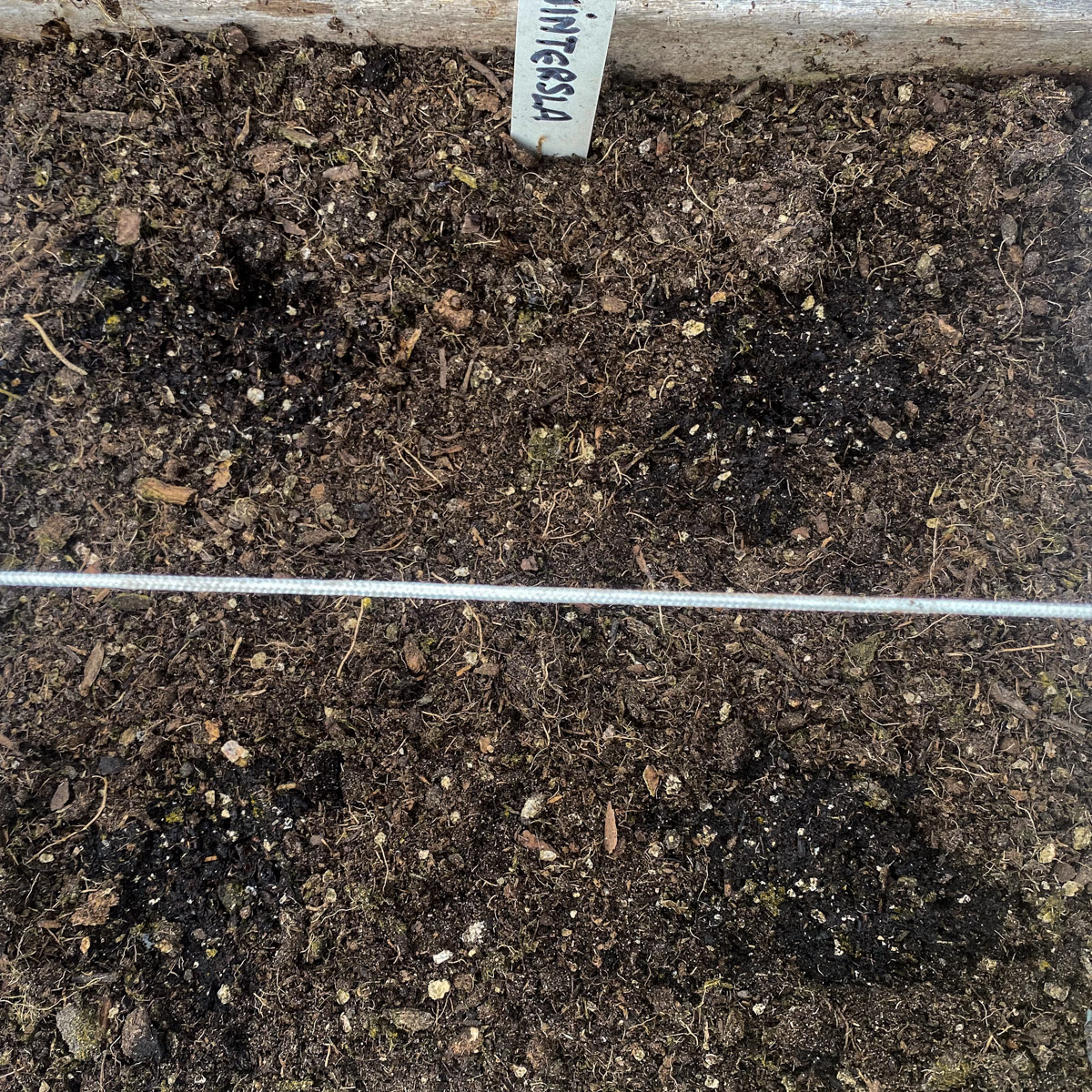 Makkelijke Moestuinmix houdt vocht ter plekke vast
