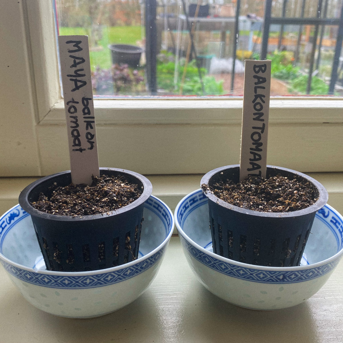 Labelled Airpot standing in a saucer on a warm windowsill