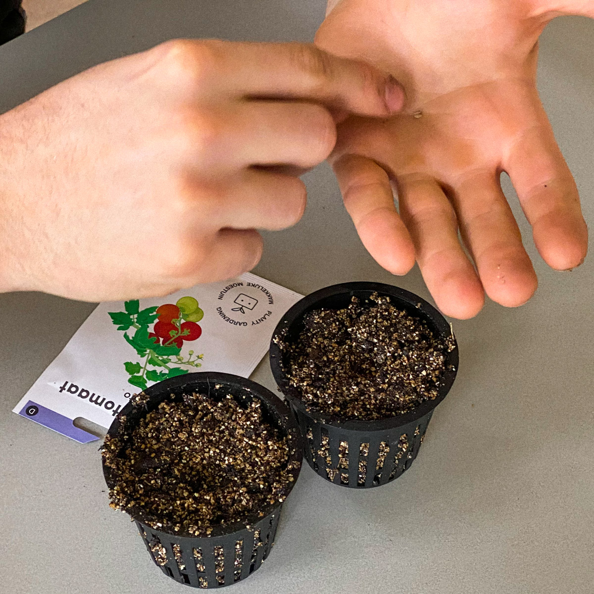 Voorzaaien van tomaten in Makkelijke Moestuin airpotjes