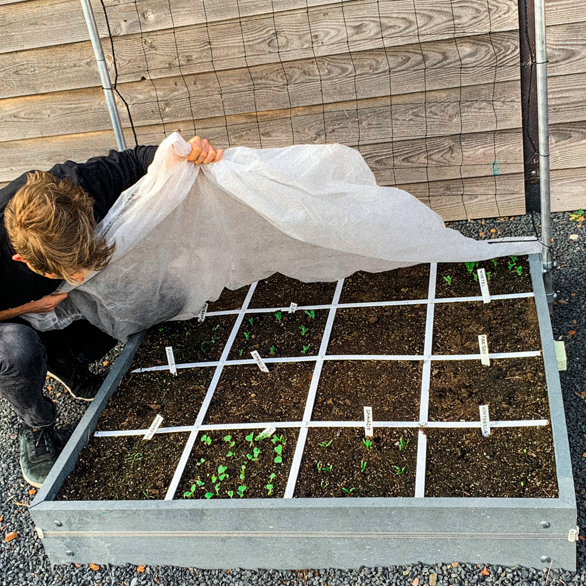 Gebruik Makkelijke Moestuinmuts in een koude maand maart