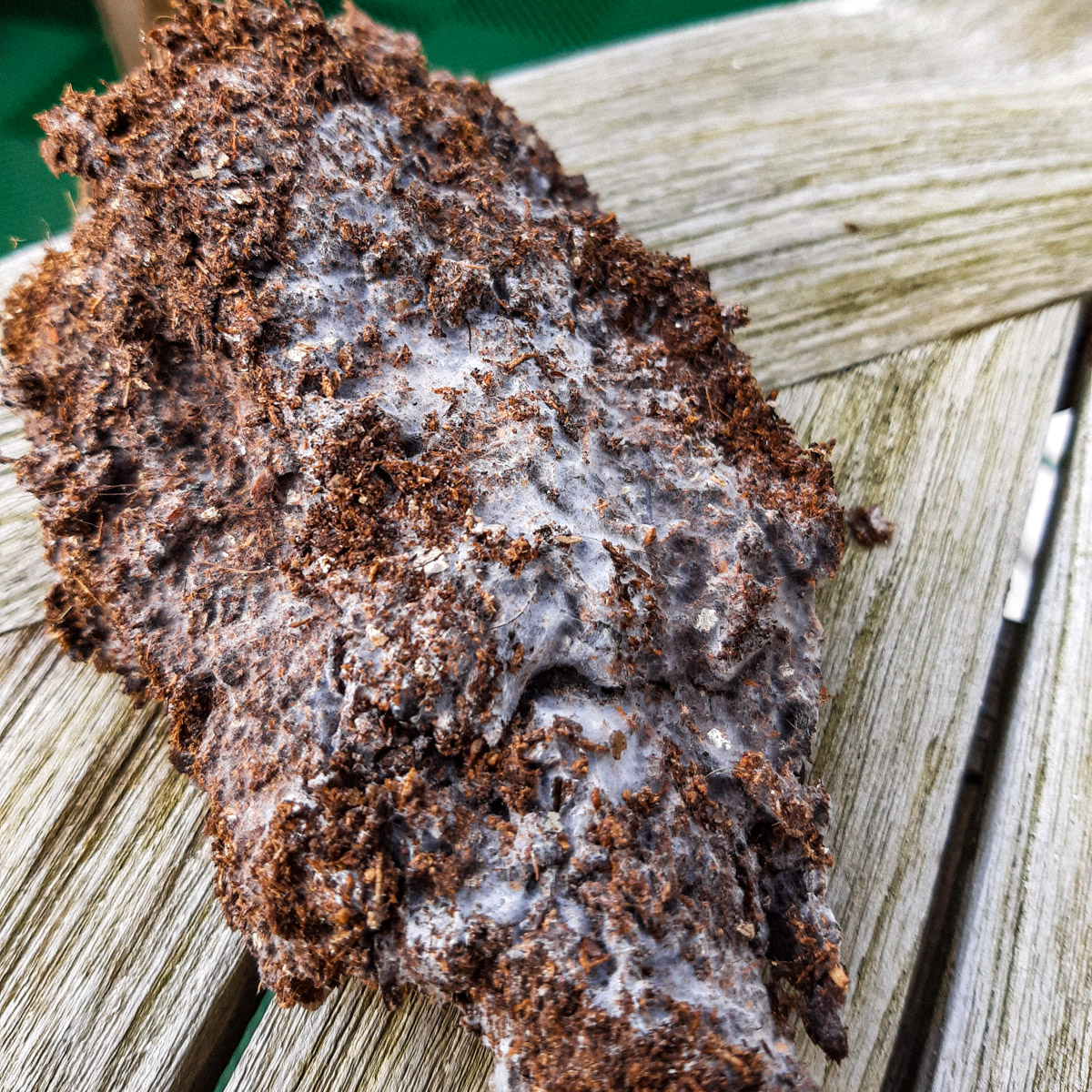 Schimmel op Makkelijke Moestuinmix zonder zuurstof