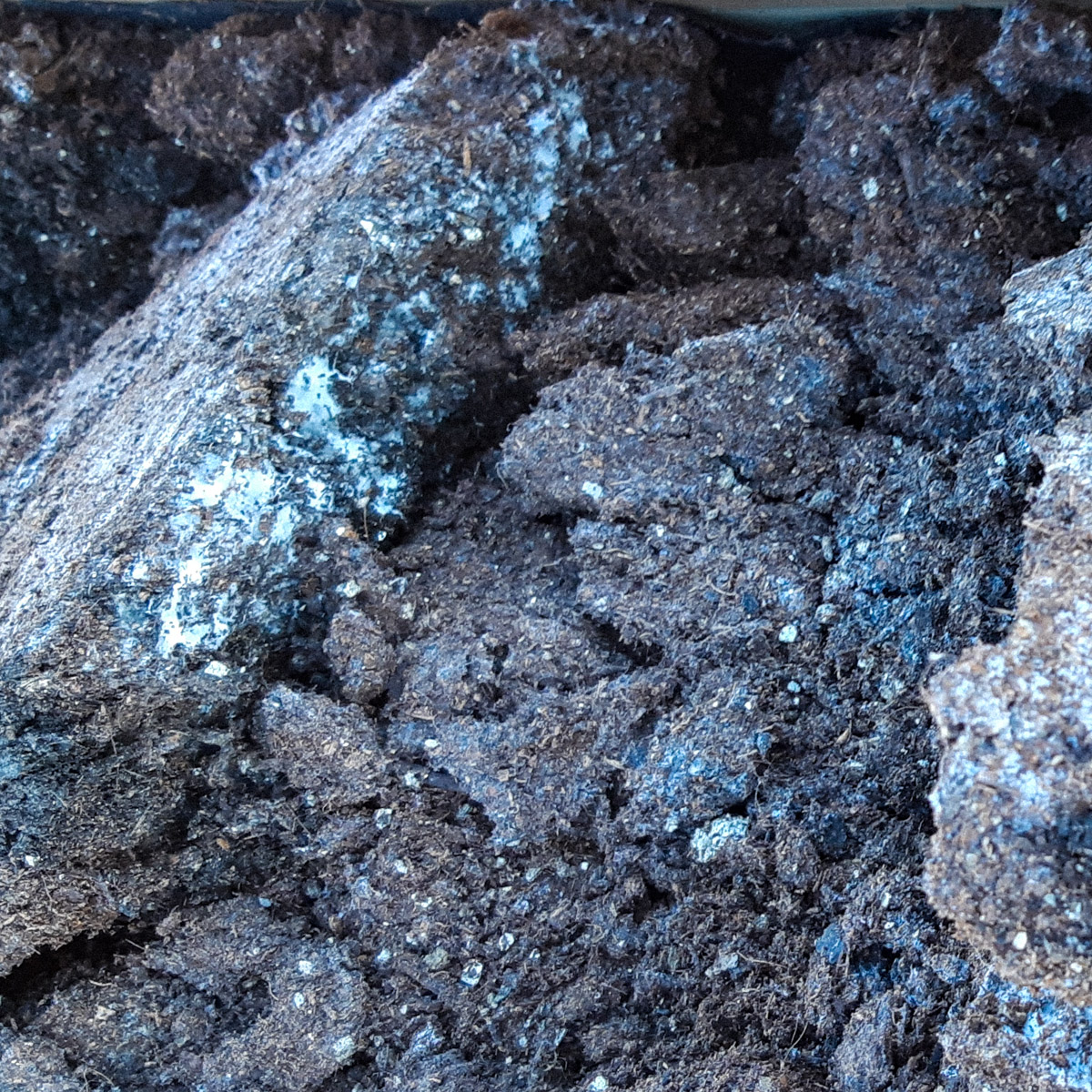 Schimmel op Makkelijke Moestuinmix die langere tijd in elkaar geperst is.