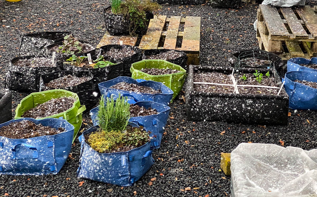 Hagel, sneeuw en storm in de Makkelijke Moestuin