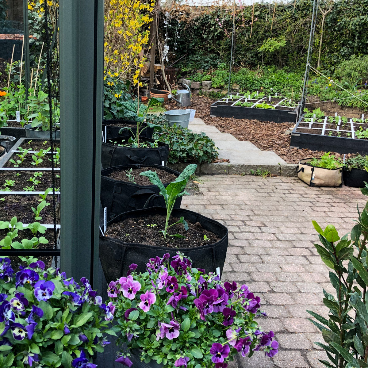 De prachtige Makkelijke Moestuin van PlienT