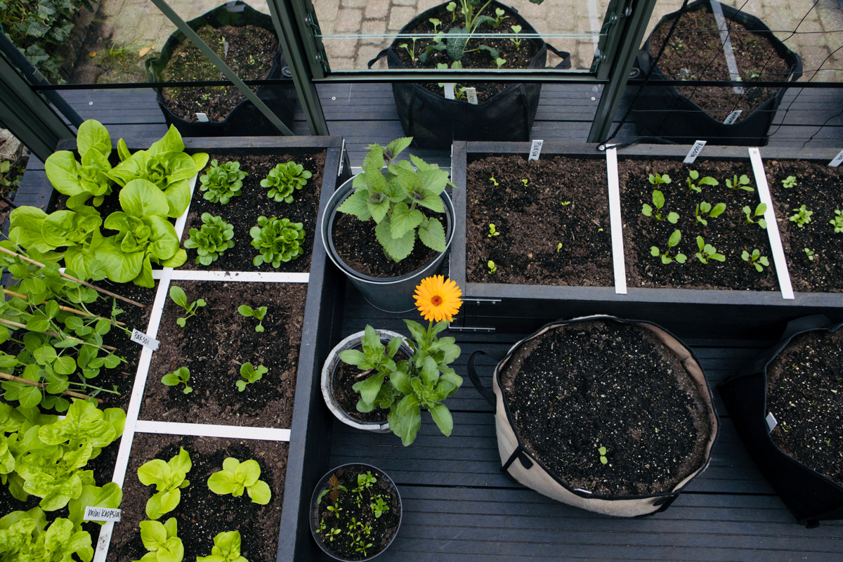 Moestuinbakken in de kas van gerecycled plastic