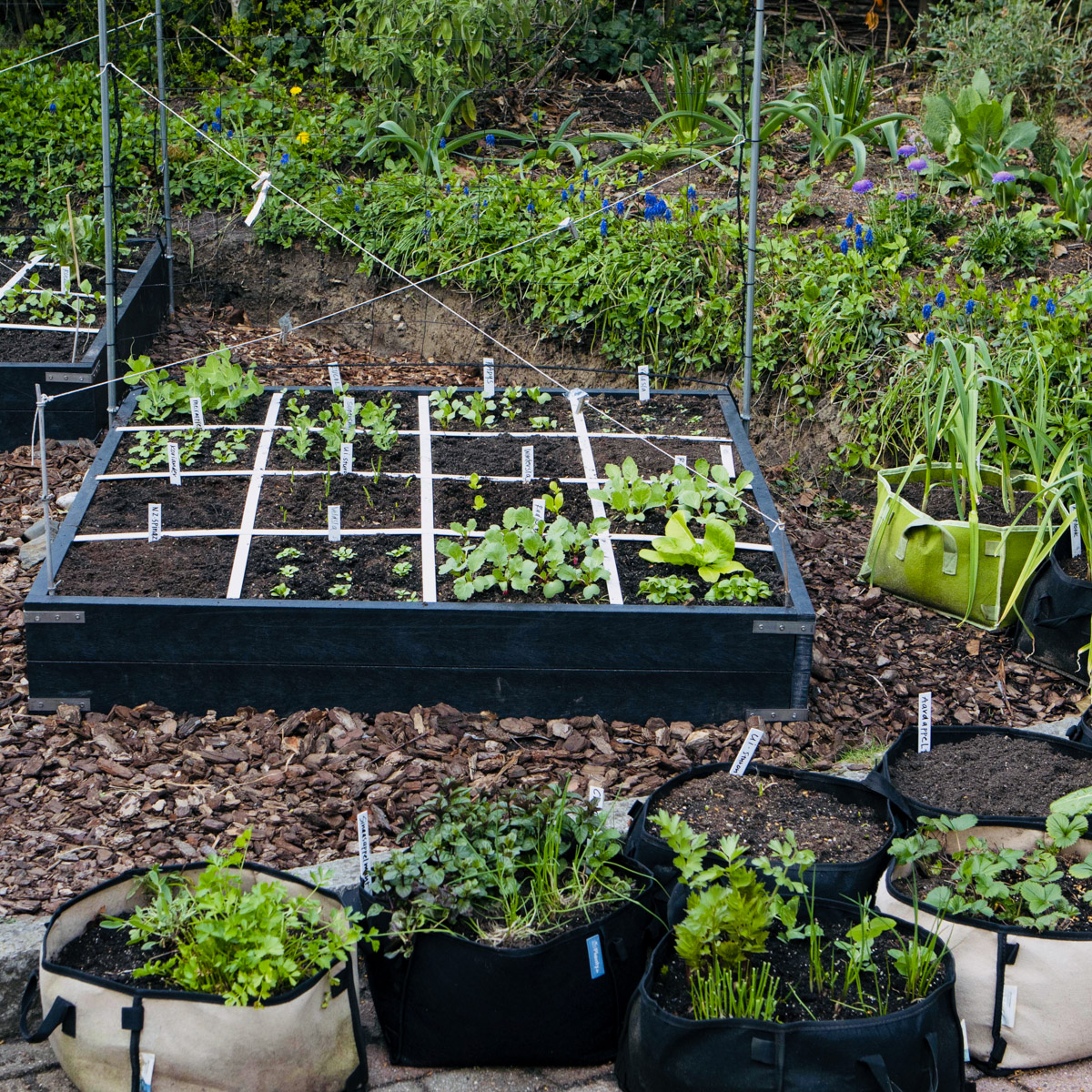 Freestylen in de Makkelijke Moestuin