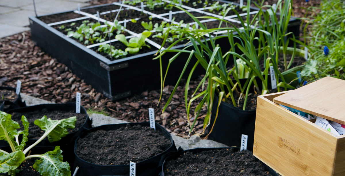 Inspiratie opdoen in de community