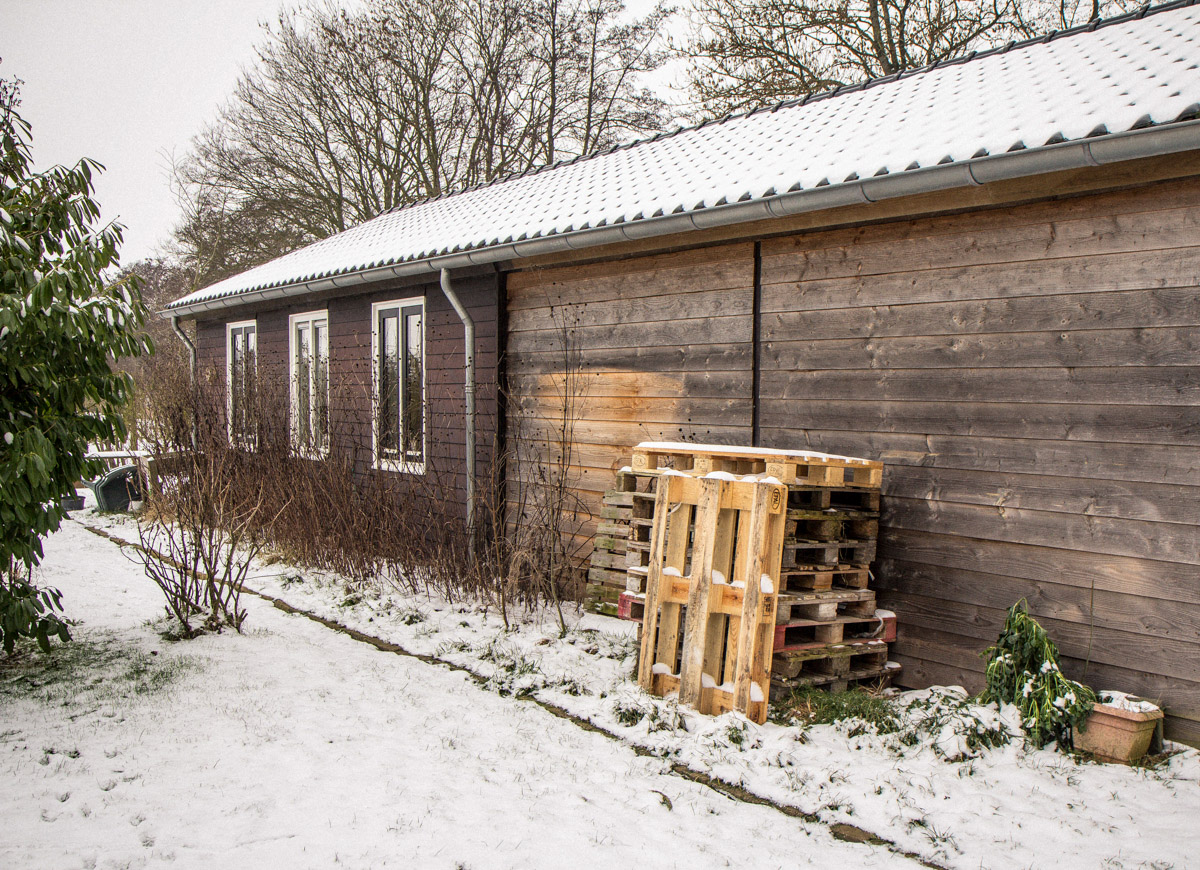 At the end of January 2019, we had an empty back yard