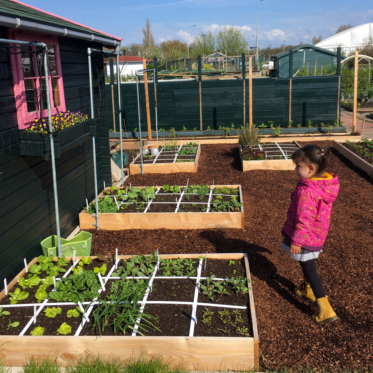 Verschil tussen moestuinbakken in of uit de wind