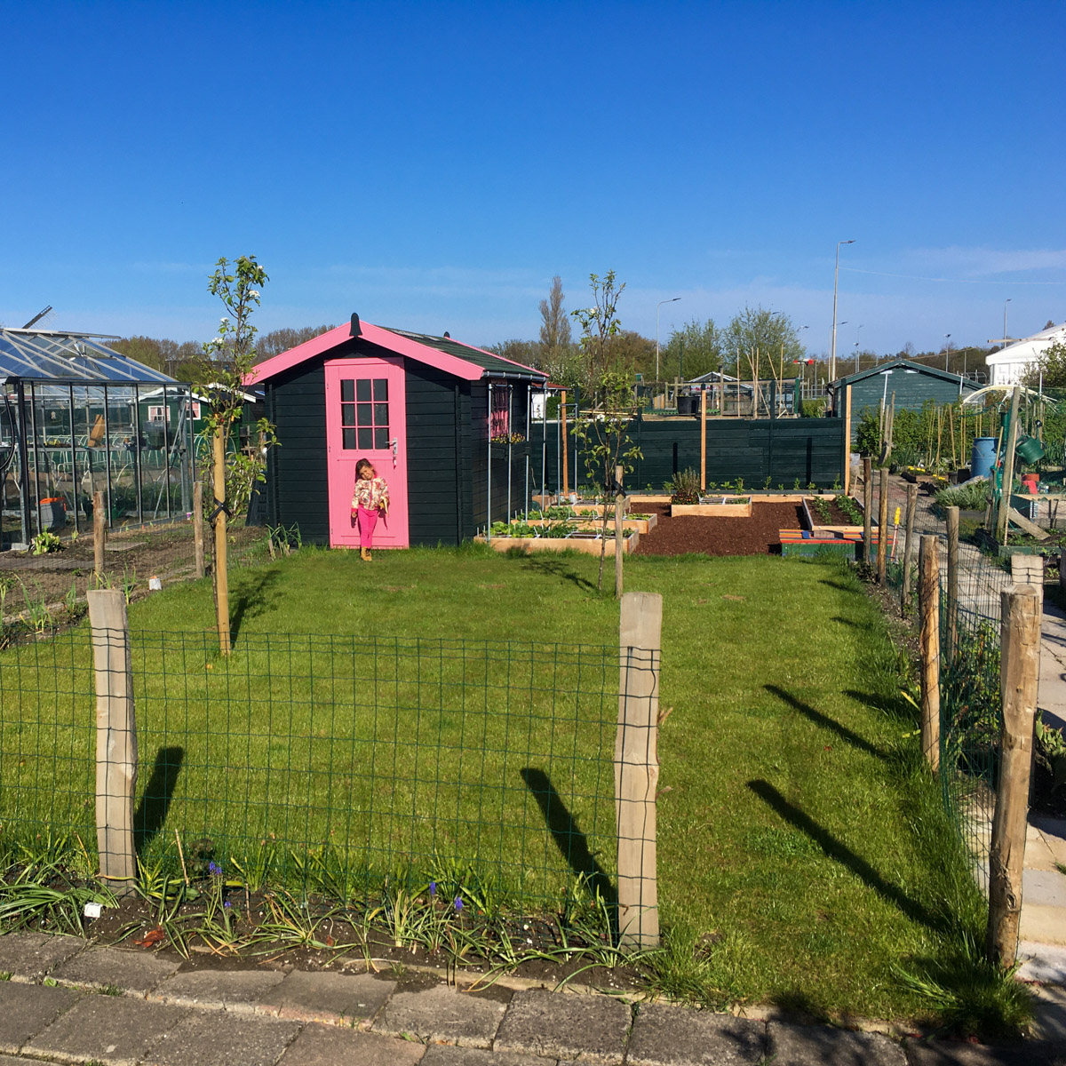 In een jaar van verwaarloosd stuk grond naar Makkelijke Moestuin paradijs