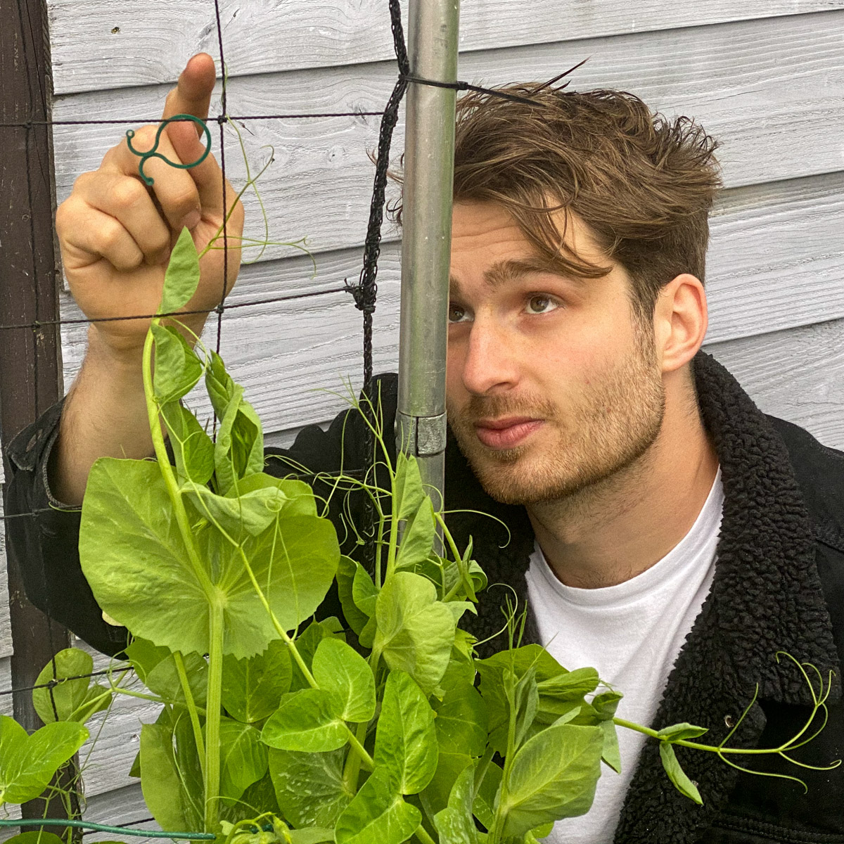 Grijparmpjes van de Makkelijke Moestuin peultjes