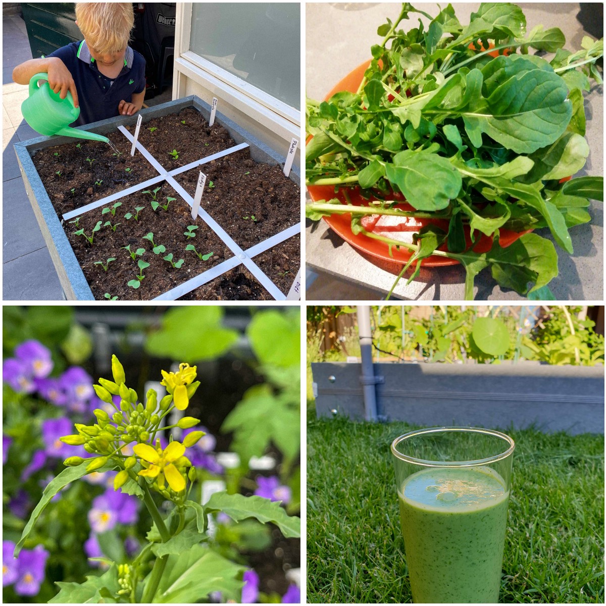 Photos from the Makkelijke Moestuin community