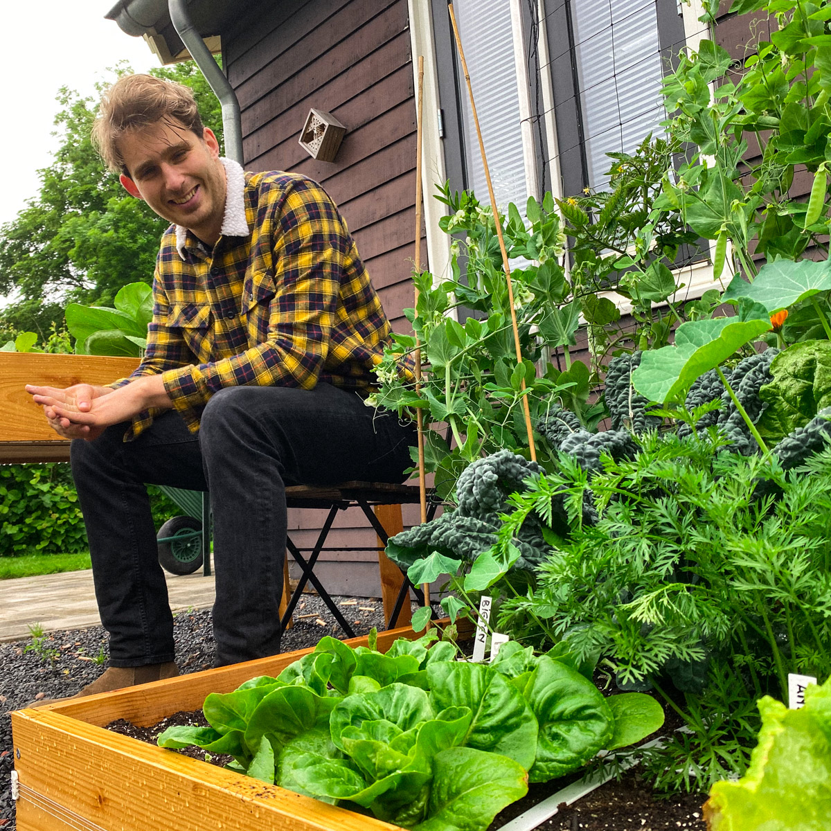 What do you do with a full raised bed before going on holiday?