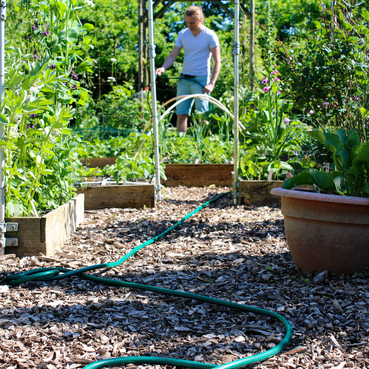 The hazards of leaving your garden hose in the sun: watch out for hot water!