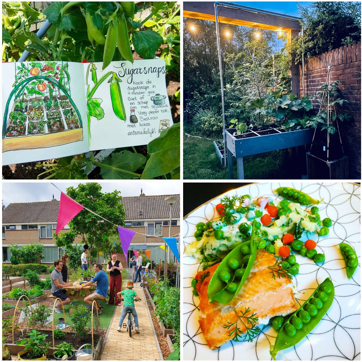 Foto's van de Makkelijke Moestuin community