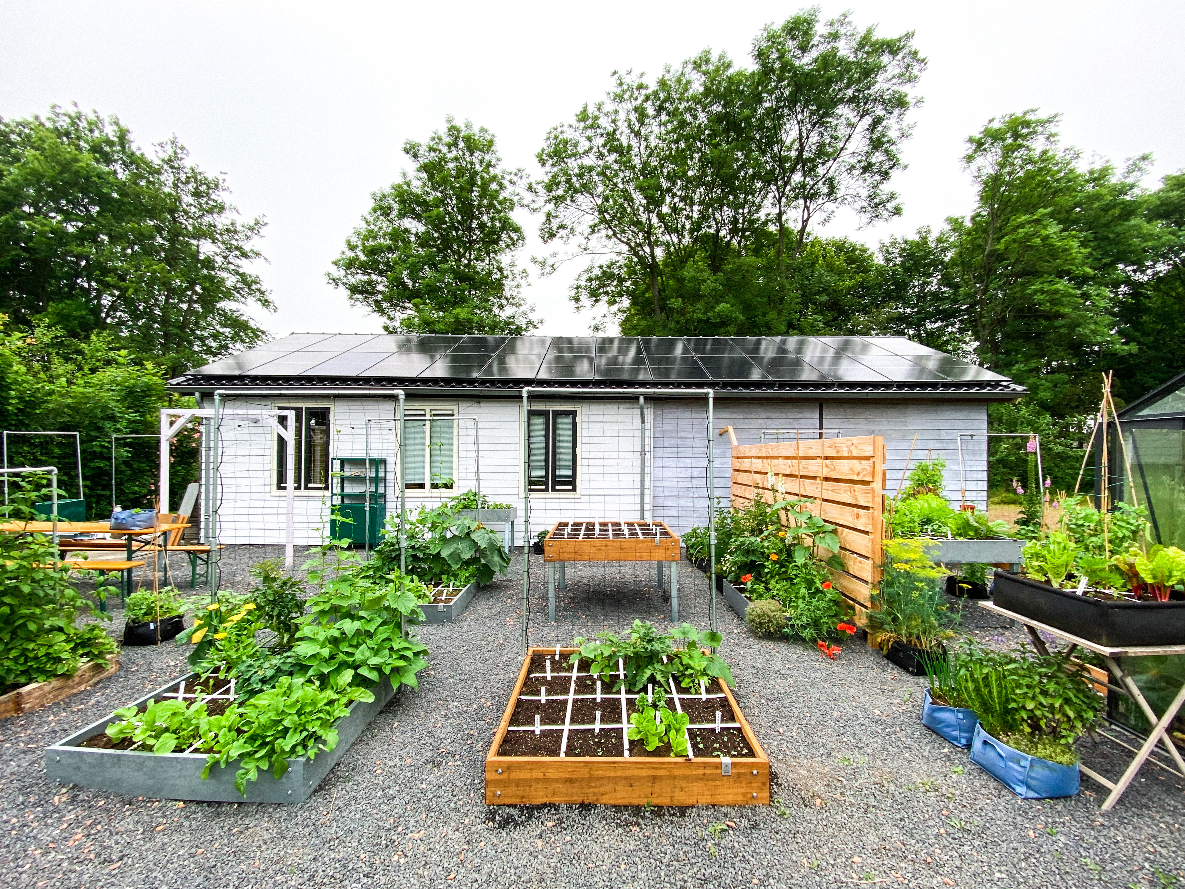 Makkelijke Moestuin show tuin begin juli