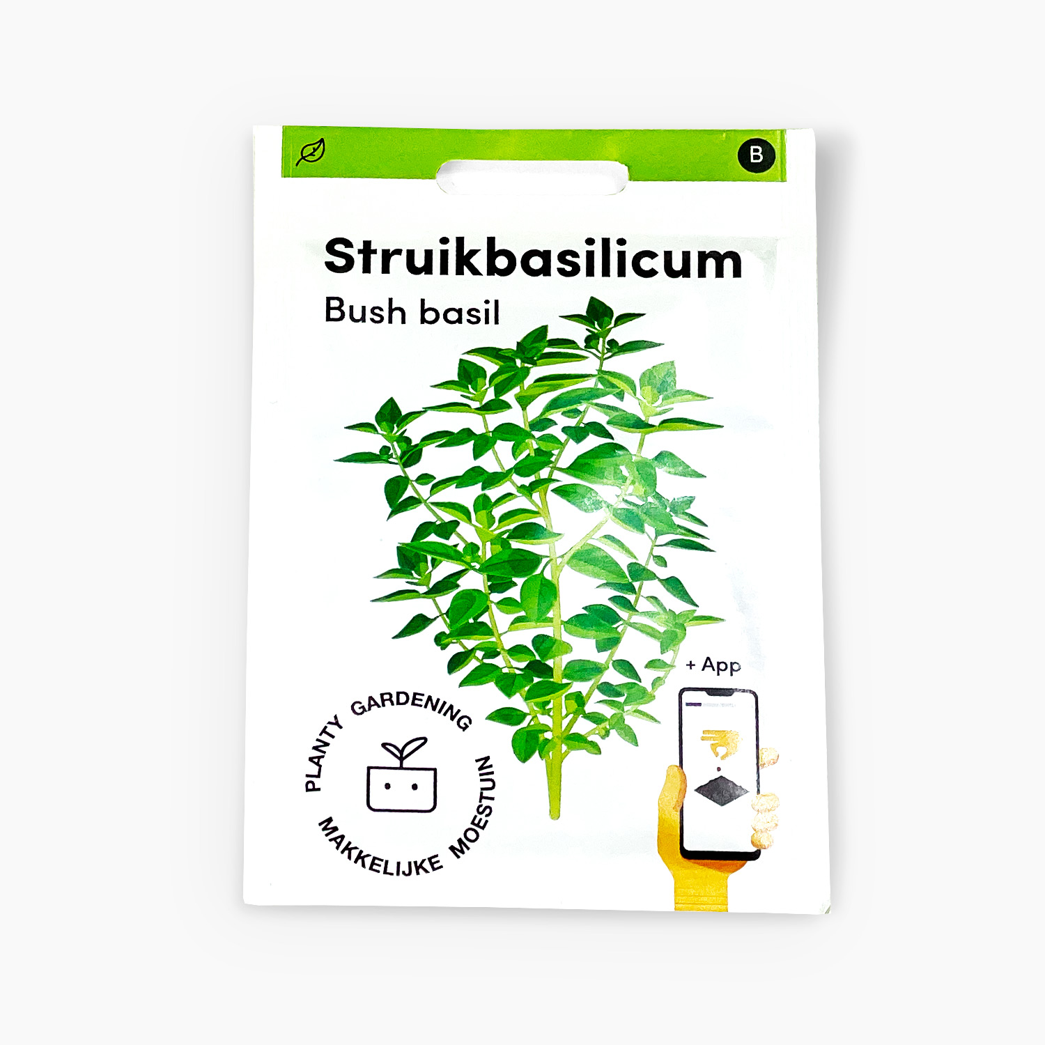 Bush basil