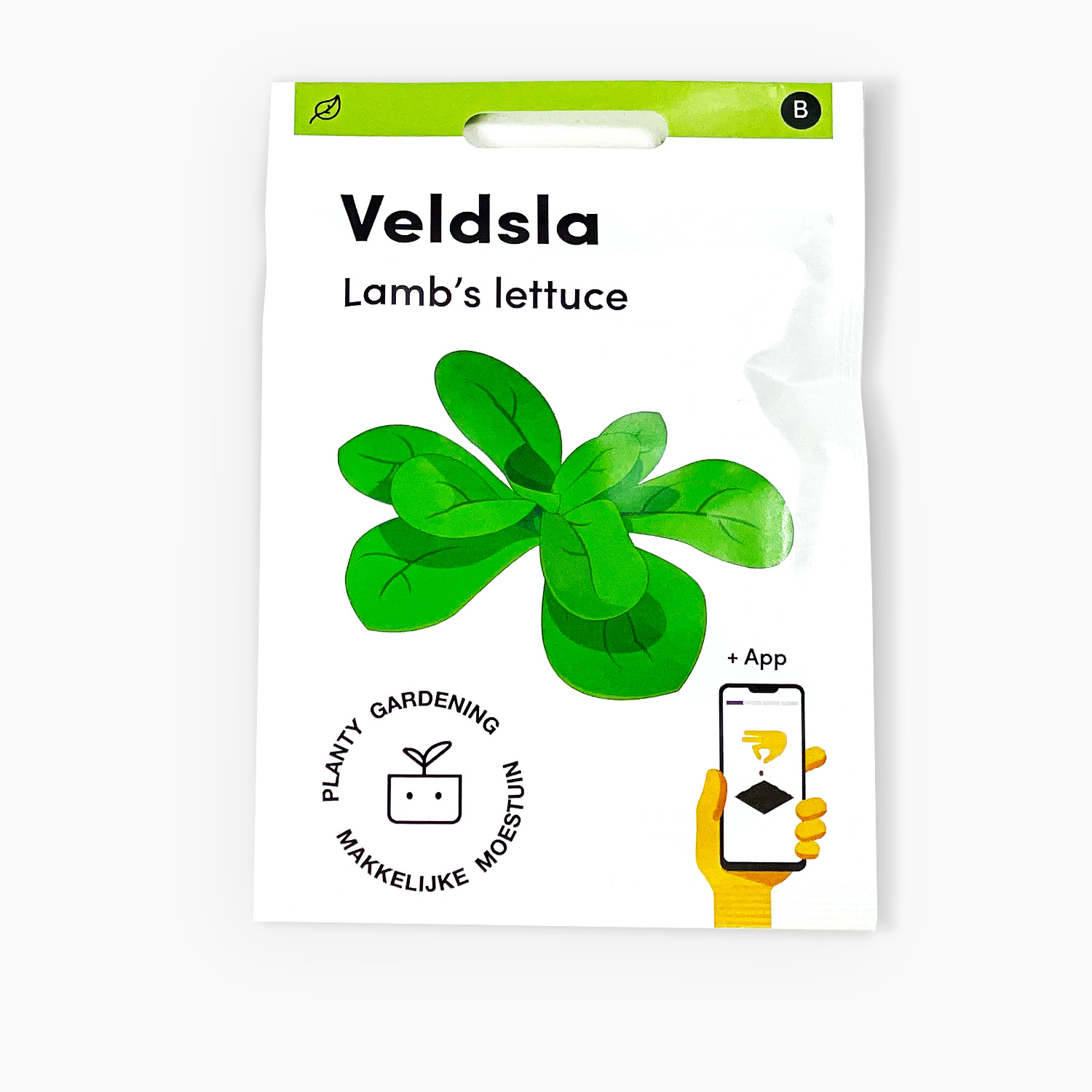 Lamb's lettuce