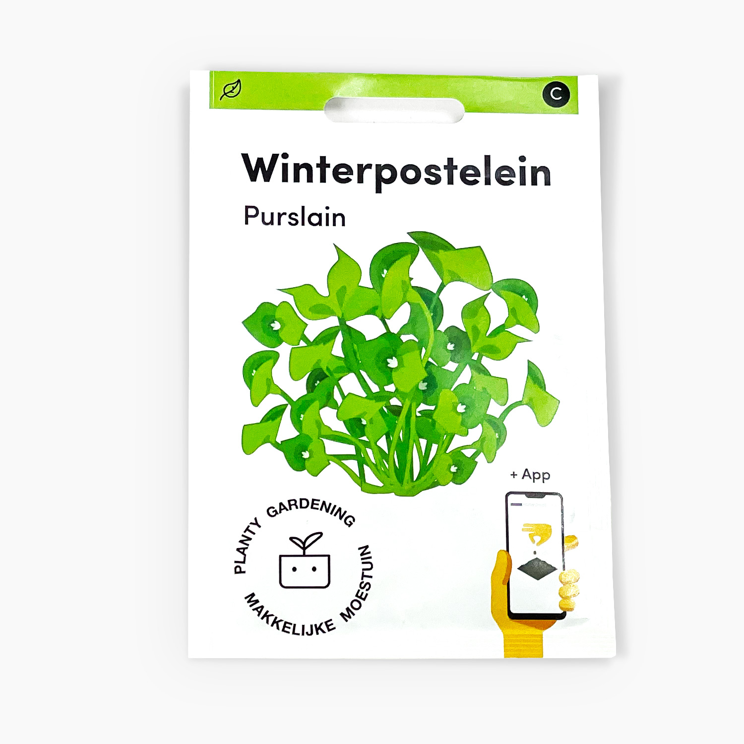 Winterpostelein