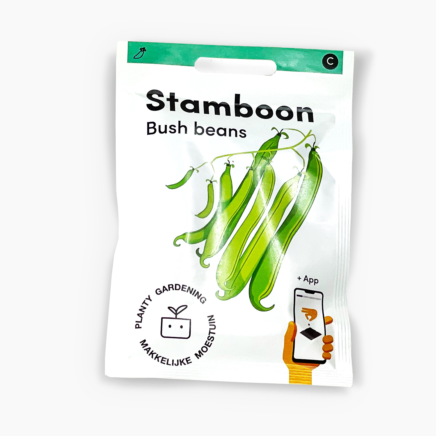 Bush bean