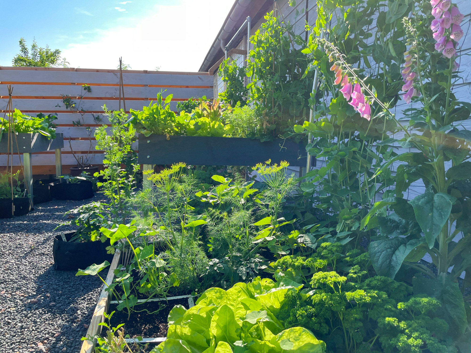 Alles over de Makkelijke Moestuin manier van tuinieren