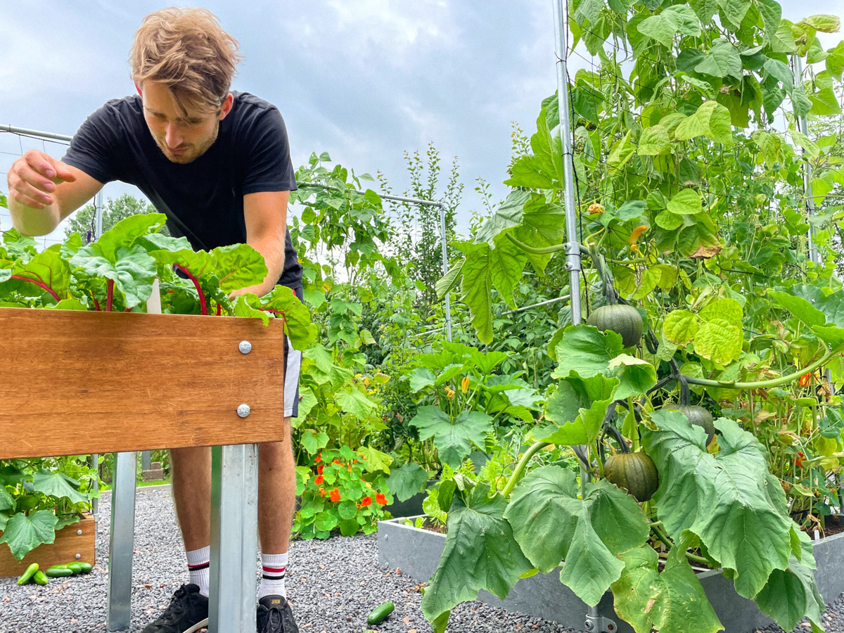 August 1 in our Planty Garden