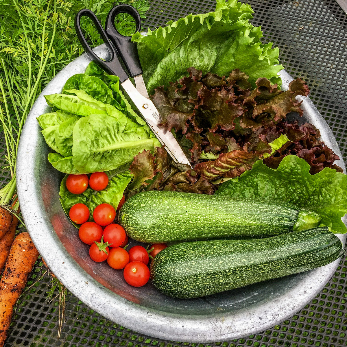 Our quality matierals guarantee great harvests