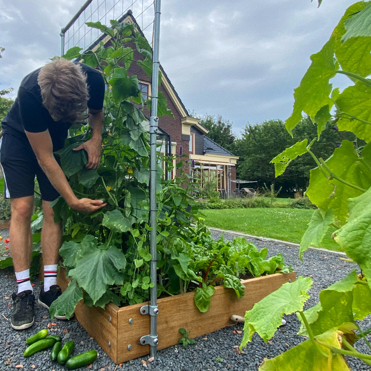 Stevige klimrekken van steigerbuis voor de Makkelijke Moestuin