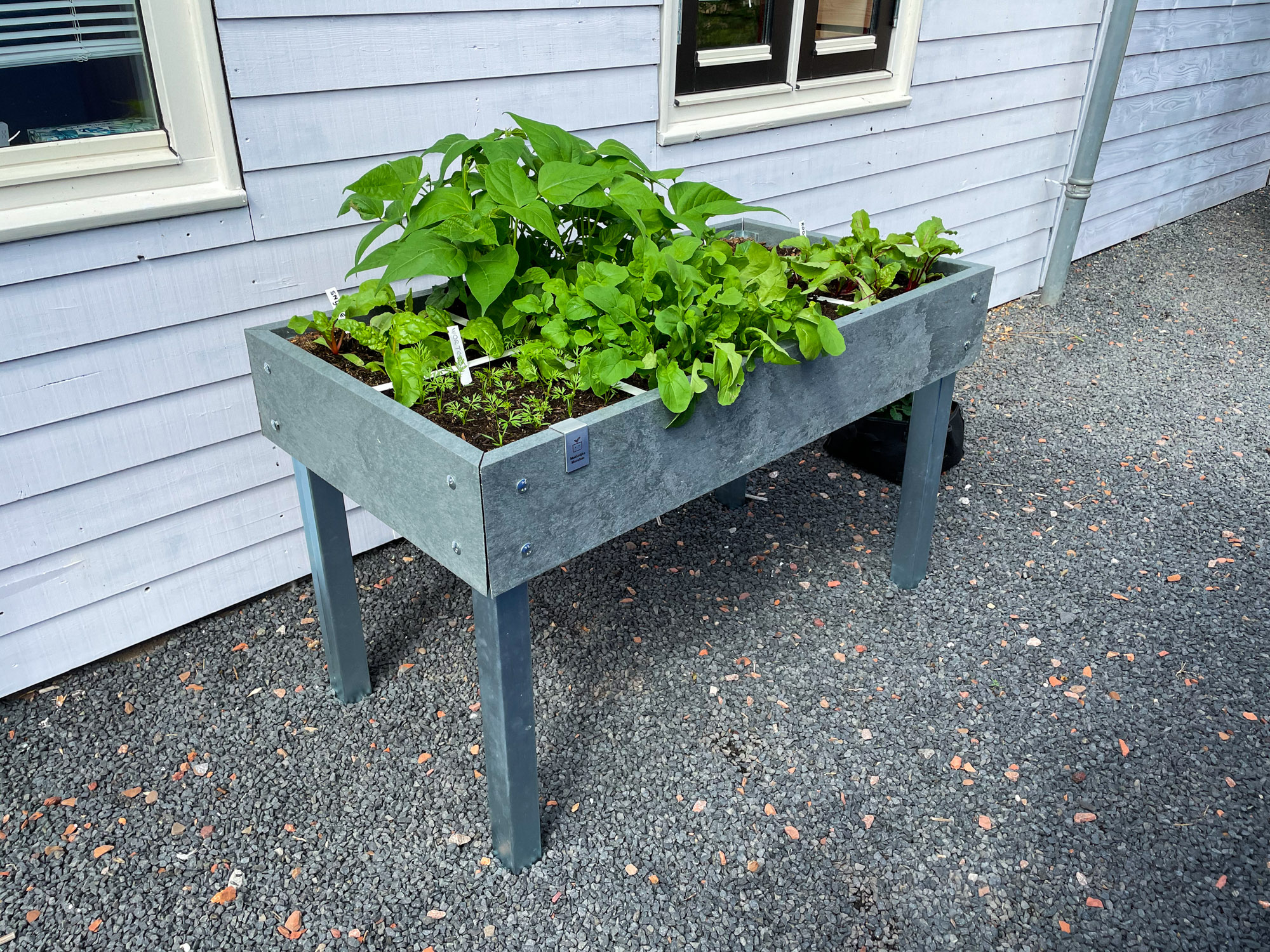 Onze MM Hero moestuintafel met 8 vakken en RVS stalen bodem en poten