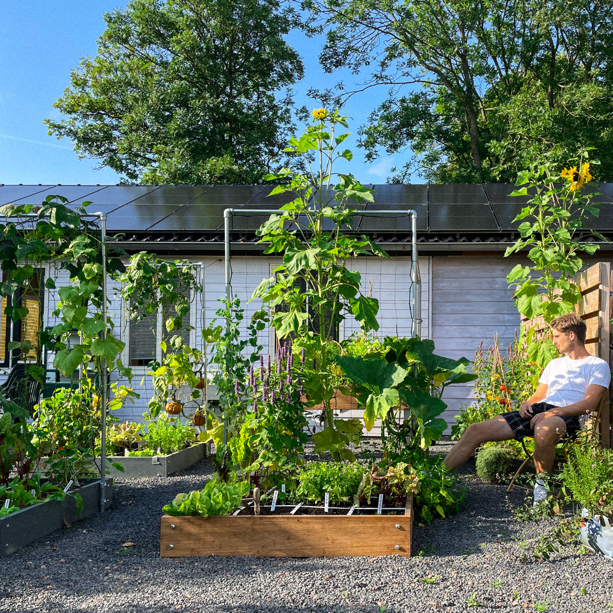 Enjoying the sunshine in my Planty Garden