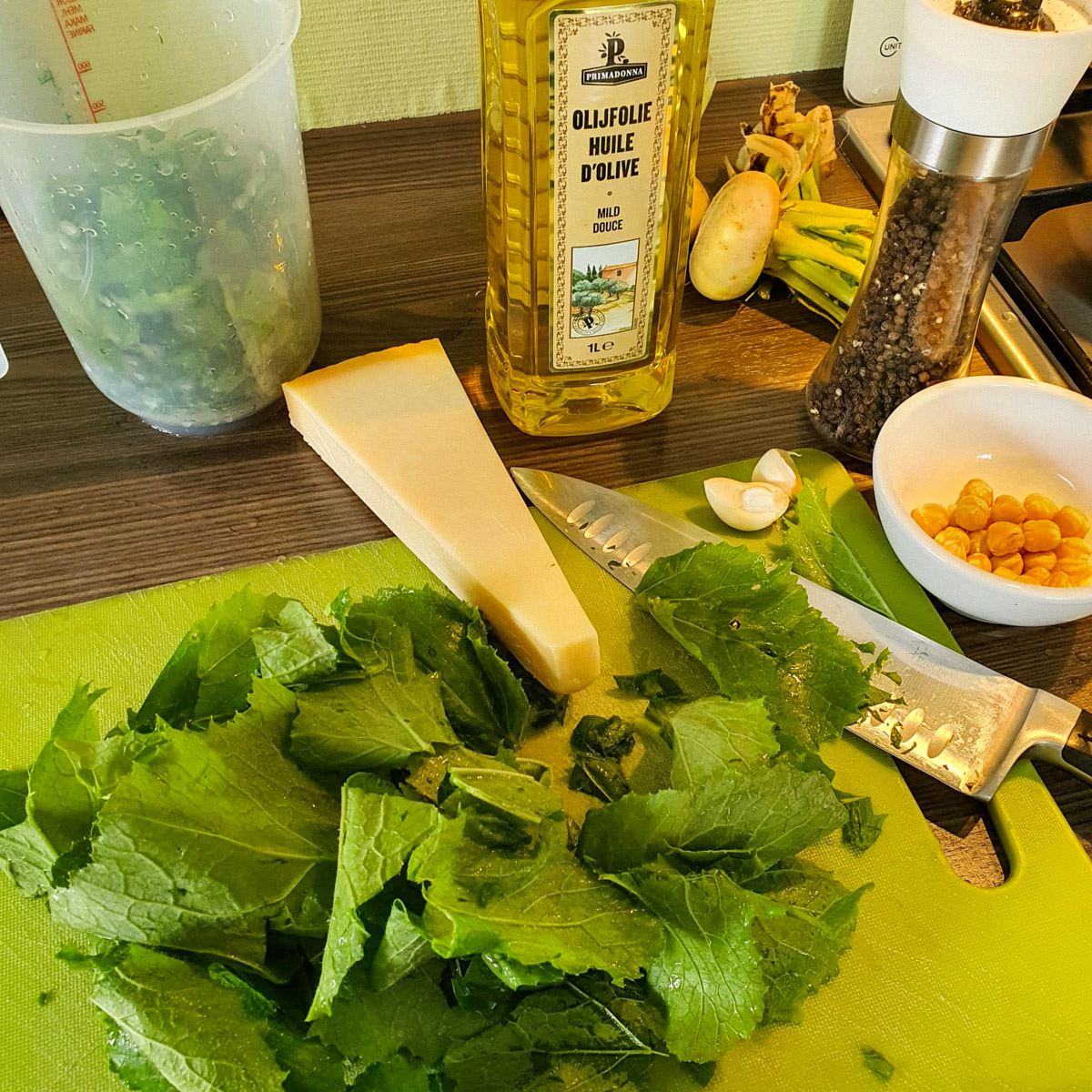 Maak pesto van het meiraapjesblad