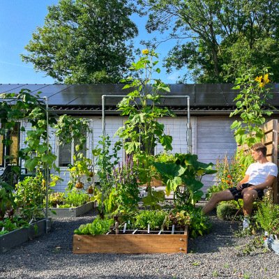 A tour of the vegetable garden in September