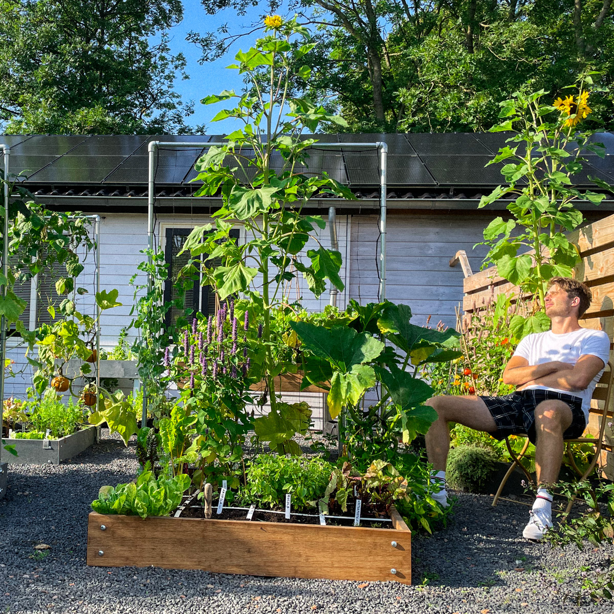 Zonnen in de Makkelijke Moestuin