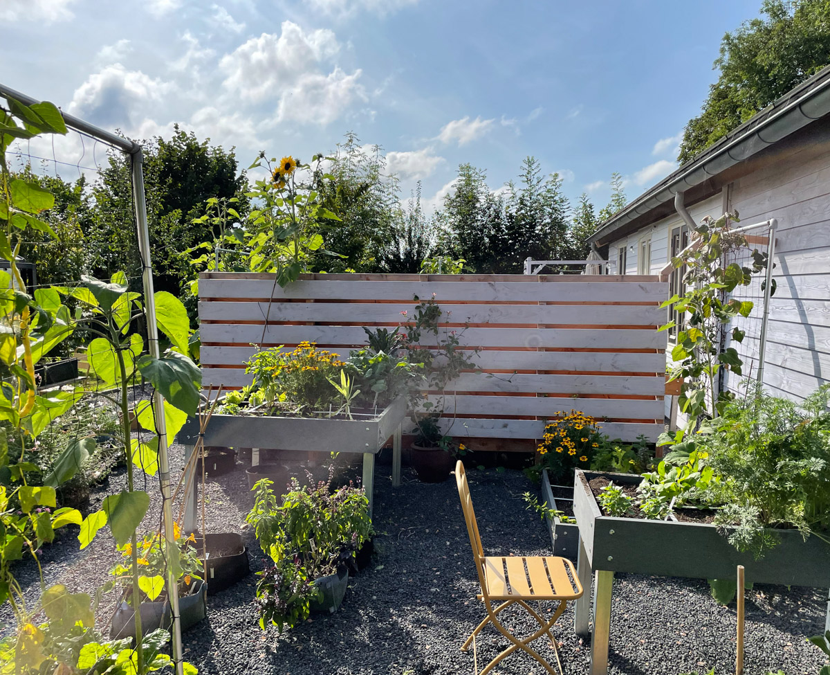 Testtuin Makkelijke Moestuin eind augustus
