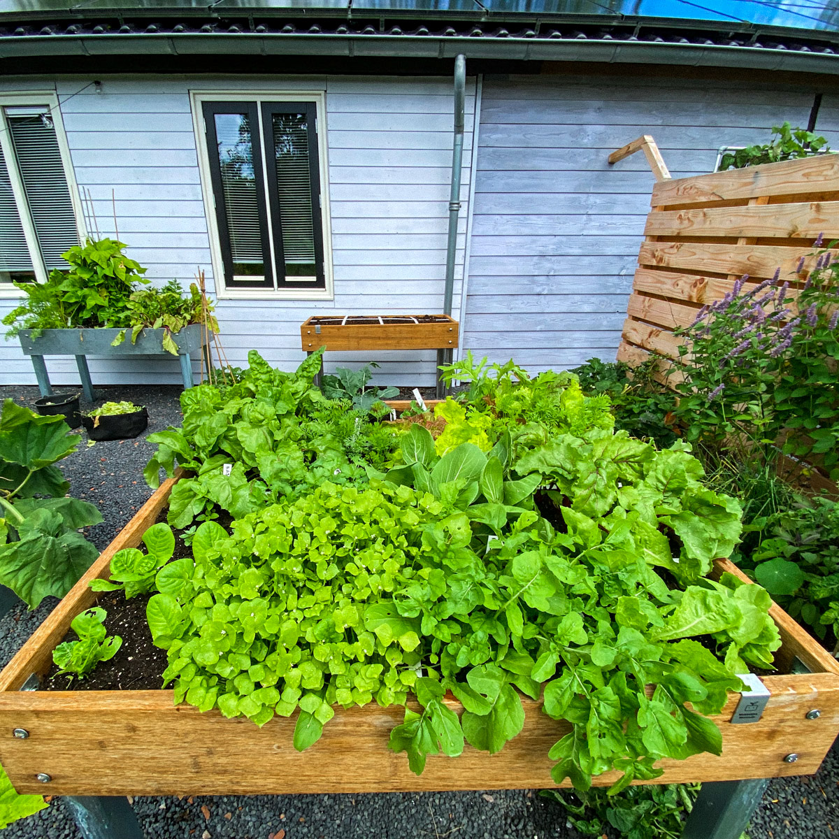 Makkelijke Moestuintafel van Bamboe