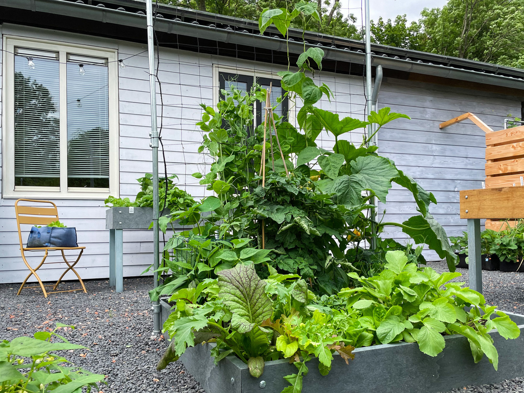 Propvolle moestuinbakken